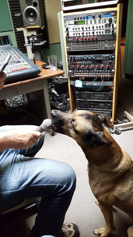 14642996_315582658807159_174123373_n