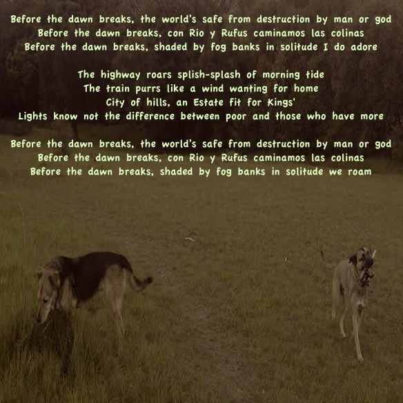 Before the Dawn Breaks